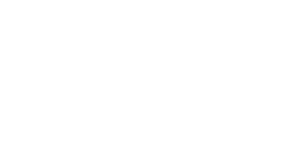Apoiador 1